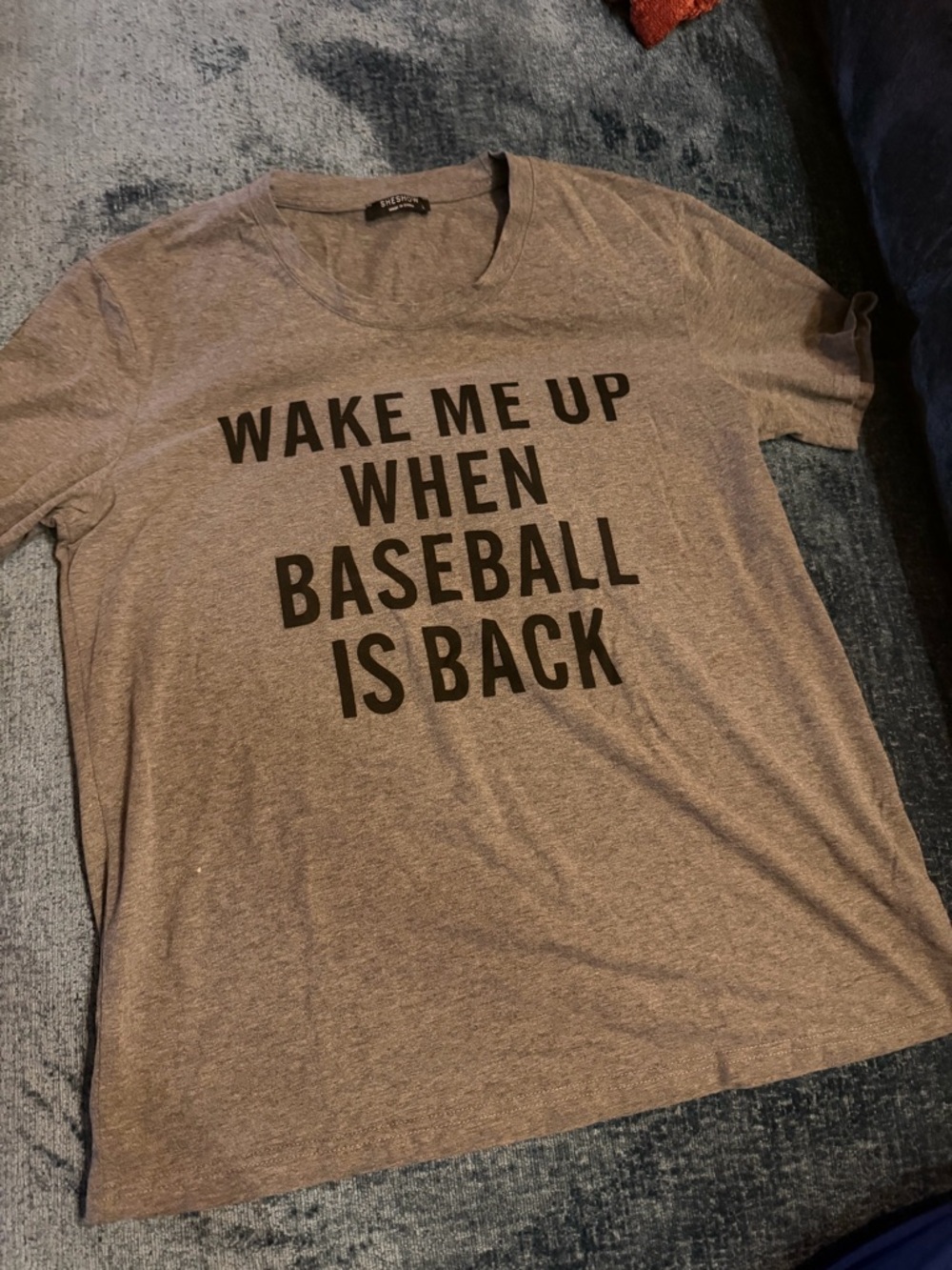 Graphic Tee "Wake Me Up When Baseball Is Back" in Heather Gray